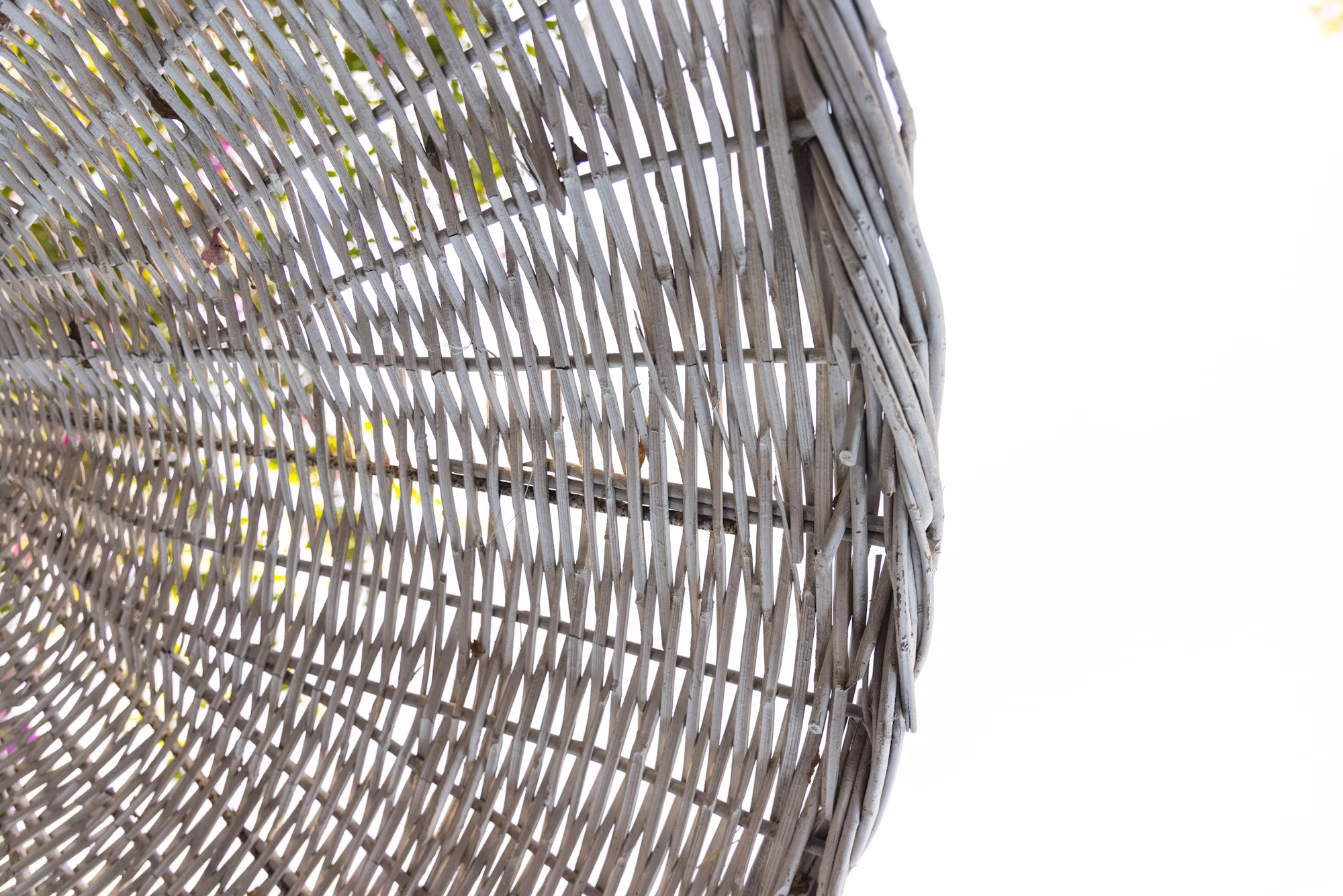 Sustainable Travel: How Eco-Conscious Tourism is Shaping the Future of Travel