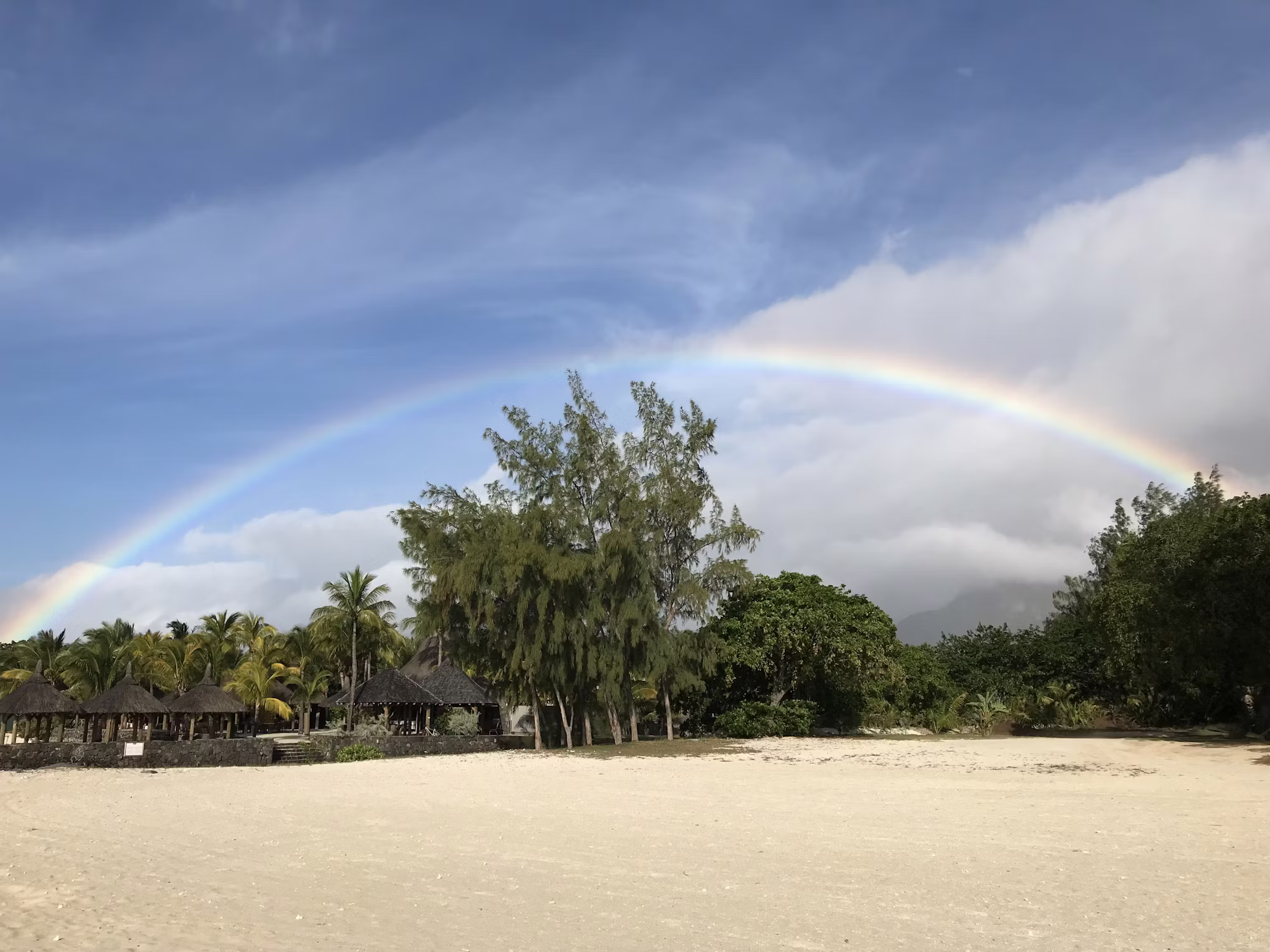 The Art of Sustainable Travel: Embracing Eco-Friendly Adventures